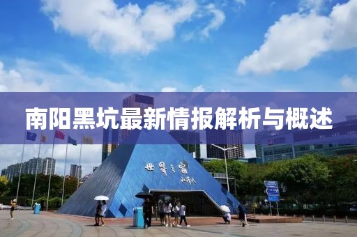 南阳黑坑最新情报解析与概述