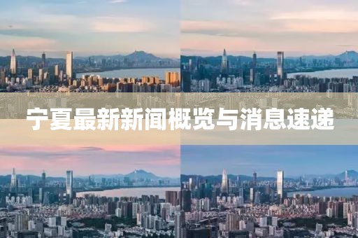 宁夏最新新闻概览与消息速递
