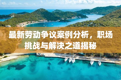 最新劳动争议案例分析，职场挑战与解决之道揭秘