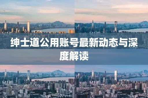 绅士道公用账号最新动态与深度解读