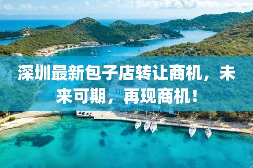 深圳最新包子店转让商机，未来可期，再现商机！