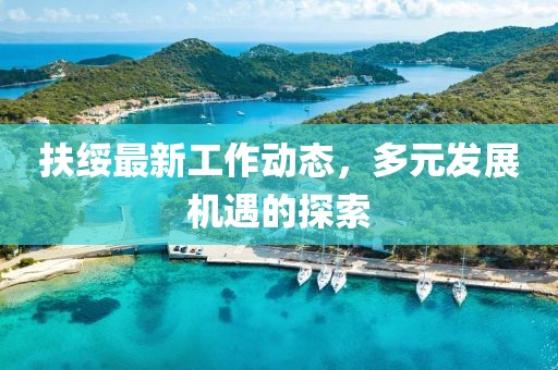 扶绥最新工作动态，多元发展机遇的探索