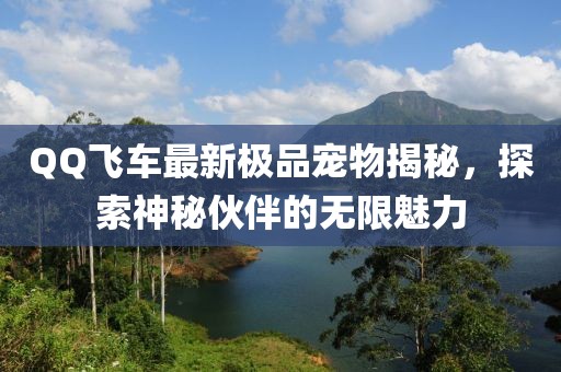 QQ飞车最新极品宠物揭秘，探索神秘伙伴的无限魅力