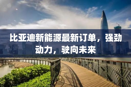 有梦想 第12页
