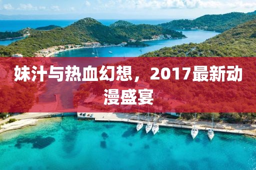 妹汁与热血幻想，2017最新动漫盛宴