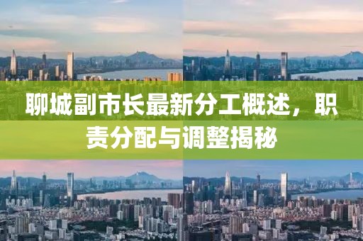 聊城副市长最新分工概述，职责分配与调整揭秘