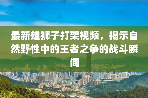 最新雄狮子打架视频，揭示自然野性中的王者之争的战斗瞬间