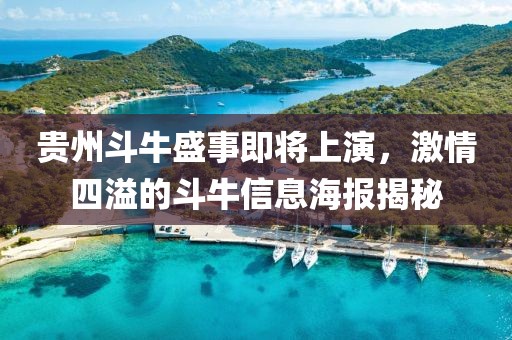 贵州斗牛盛事即将上演，激情四溢的斗牛信息海报揭秘