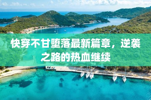 快穿不甘堕落最新篇章，逆袭之路的热血继续