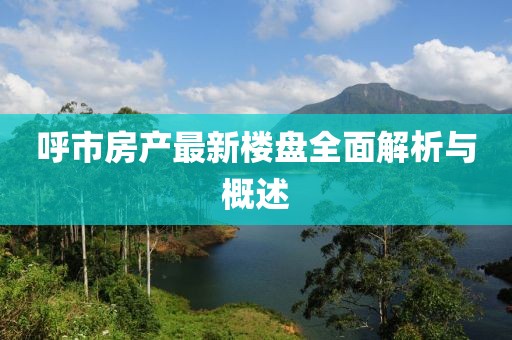 呼市房产最新楼盘全面解析与概述