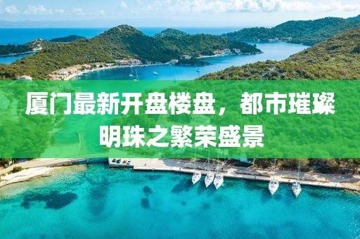 厦门最新开盘楼盘，都市璀璨明珠之繁荣盛景