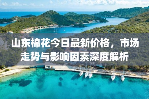 山东棉花今日最新价格，市场走势与影响因素深度解析