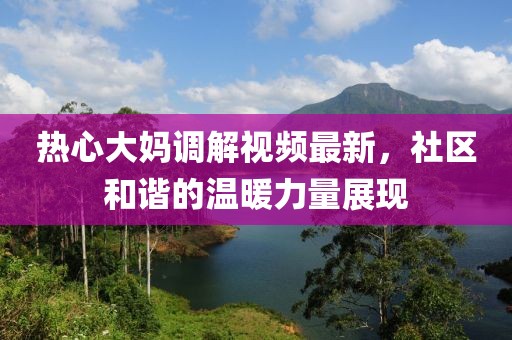 热心大妈调解视频最新，社区和谐的温暖力量展现