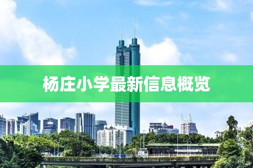杨庄小学最新信息概览