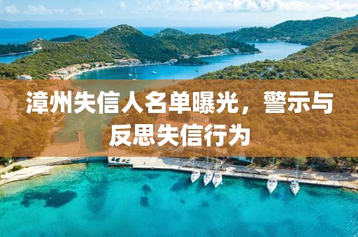 漳州失信人名单曝光，警示与反思失信行为