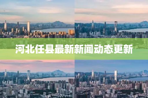 河北任县最新新闻动态更新
