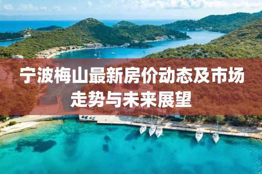 宁波梅山最新房价动态及市场走势与未来展望