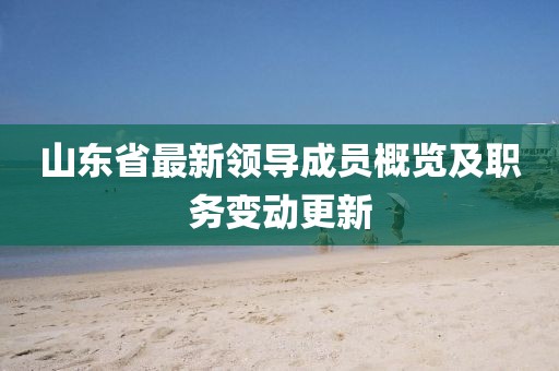 山东省最新领导成员概览及职务变动更新