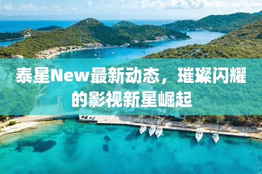 泰星New最新动态，璀璨闪耀的影视新星崛起