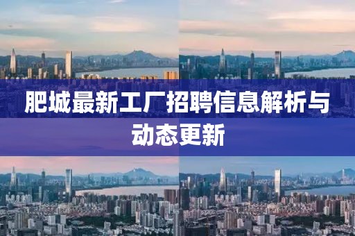 肥城最新工厂招聘信息解析与动态更新