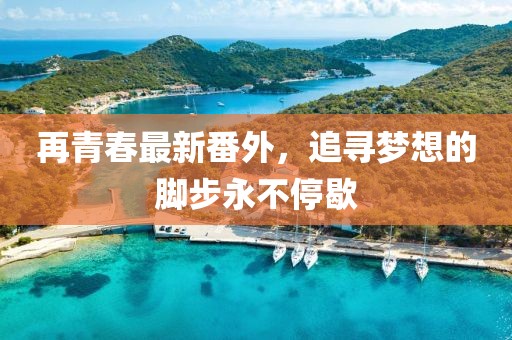再青春最新番外，追寻梦想的脚步永不停歇
