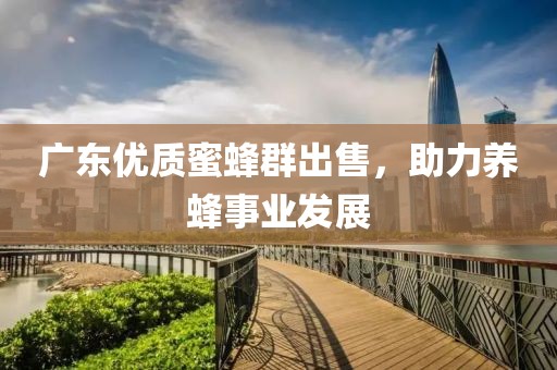 广东优质蜜蜂群出售，助力养蜂事业发展