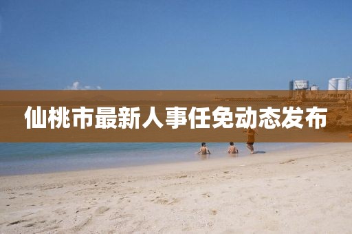 仙桃市最新人事任免动态发布