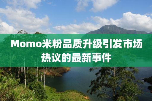 Momo米粉品质升级引发市场热议的最新事件