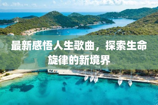 最新感悟人生歌曲，探索生命旋律的新境界