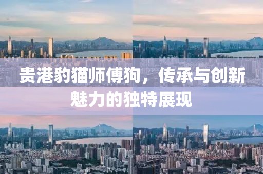 贵港豹猫师傅狗，传承与创新魅力的独特展现