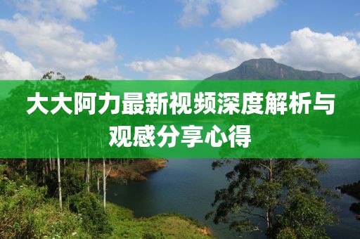 大大阿力最新视频深度解析与观感分享心得