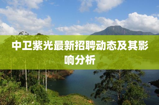 中卫紫光最新招聘动态及其影响分析