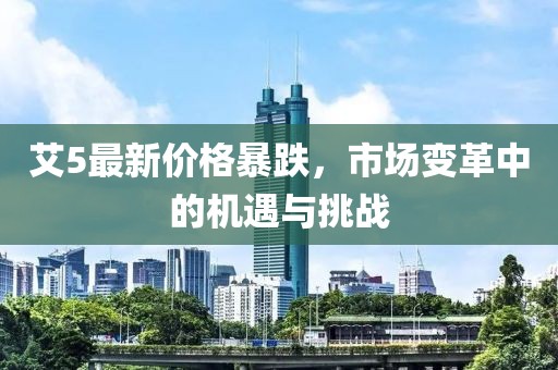 艾5最新价格暴跌，市场变革中的机遇与挑战