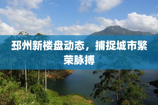 邳州新楼盘动态，捕捉城市繁荣脉搏