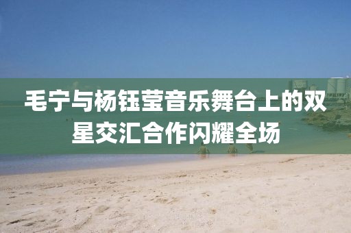 毛宁与杨钰莹音乐舞台上的双星交汇合作闪耀全场