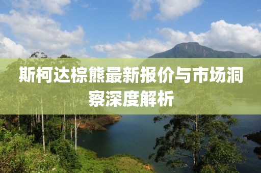 斯柯达棕熊最新报价与市场洞察深度解析