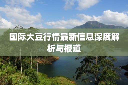 国际大豆行情最新信息深度解析与报道