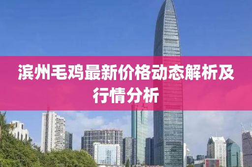 滨州毛鸡最新价格动态解析及行情分析