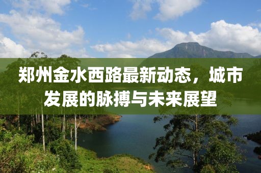 郑州金水西路最新动态，城市发展的脉搏与未来展望