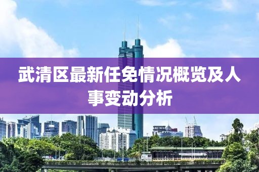 武清区最新任免情况概览及人事变动分析