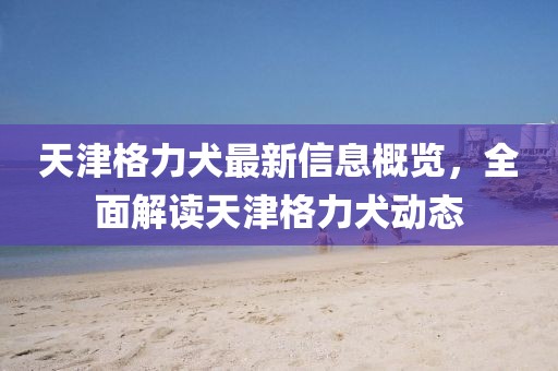 天津格力犬最新信息概览，全面解读天津格力犬动态