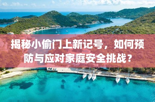 揭秘小偷门上新记号，如何预防与应对家庭安全挑战？