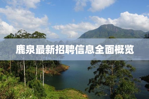 鹿泉最新招聘信息全面概览