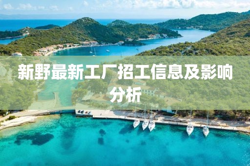 新野最新工厂招工信息及影响分析