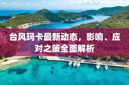 台风玛卡最新动态，影响、应对之策全面解析