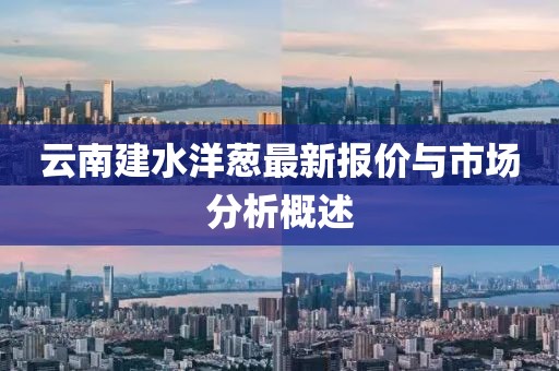 云南建水洋葱最新报价与市场分析概述