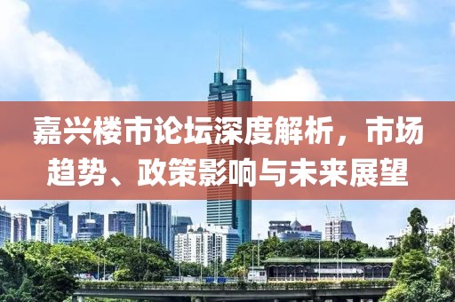 嘉兴楼市论坛深度解析，市场趋势、政策影响与未来展望