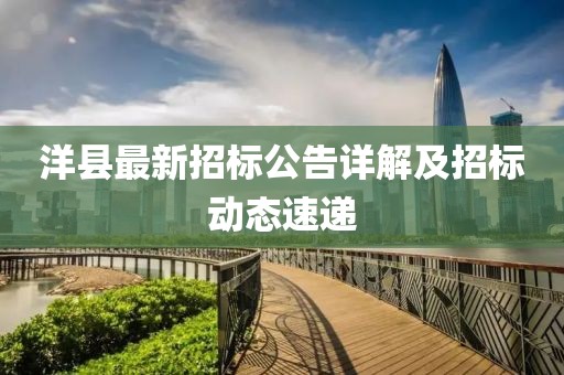 洋县最新招标公告详解及招标动态速递