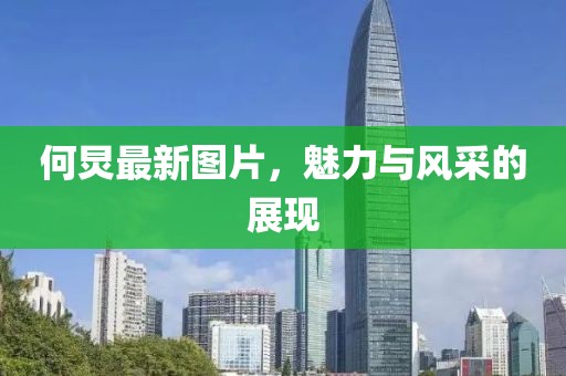 何炅最新图片，魅力与风采的展现