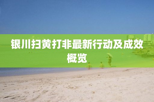银川扫黄打非最新行动及成效概览